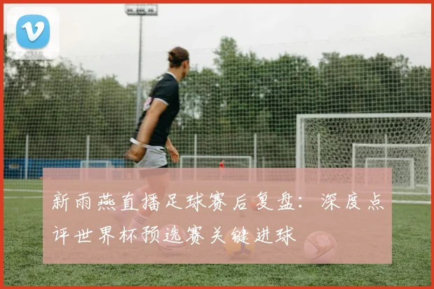 新雨燕直播足球赛后复盘：深度点评世界杯预选赛关键进球