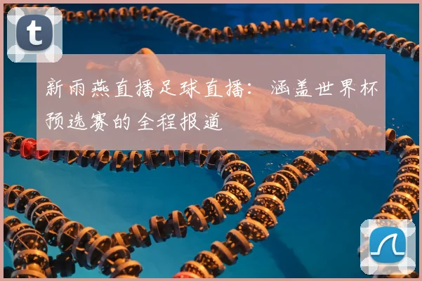 新雨燕直播足球直播：涵盖世界杯预选赛的全程报道