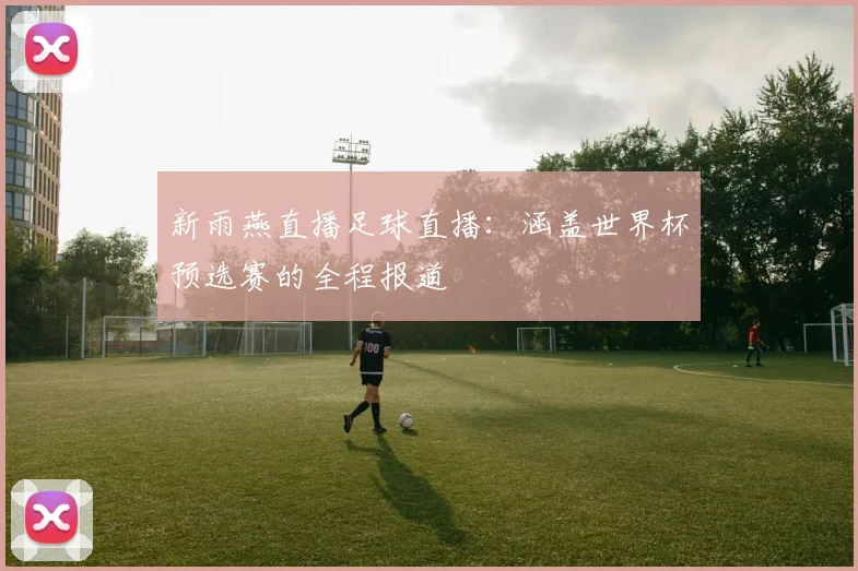 新雨燕直播足球直播：涵盖世界杯预选赛的全程报道