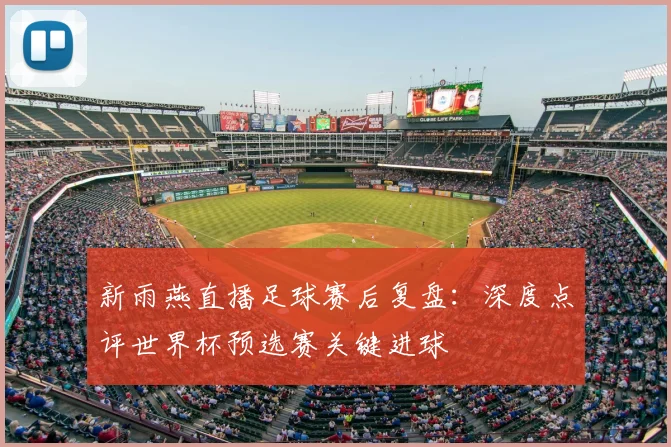 新雨燕直播足球赛后复盘：深度点评世界杯预选赛关键进球